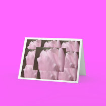 Pink Tulip Card cards