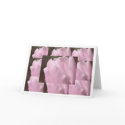 Pink Tulip Card by tomkatx2 Pink Tulip Card