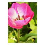 Pink Tulip cards