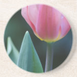 Pink Tulip Drink Coasters