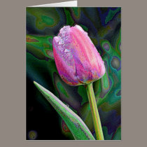 Pink Tulip Enhanced cards by EarthSmiles Pink Tulip Enhanced cards
