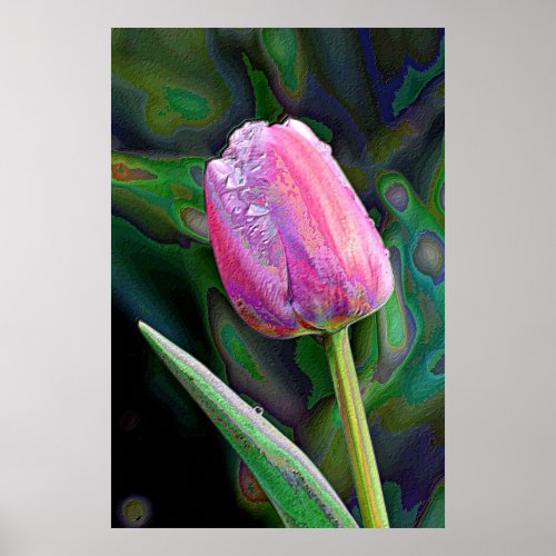 Pink Tulip Enhanced print