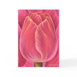 Pink Tulip Flower Nature Painting - Multi Greeting Cards