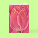 Pink Tulip Flower Nature Painting - Multi cards