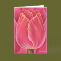 Pink Tulip Flower Nature Painting - Multi cards