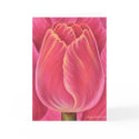 Pink Tulip Flower Nature Painting - Multi cards by JUDERM Pink Tulip Flower Nature Painting - Multi cards