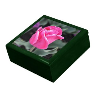 Pink Tulip Gift Box