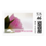 Pink Tulip • June Wedding Stamp