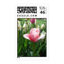 Pink Tulip Kiss postage by Killlashandra Pink Tulip Kiss postage