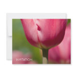 Pink Tulip Macro DSC0852 invitations by HortusFloridus Pink Tulip Macro DSC0852 invitations