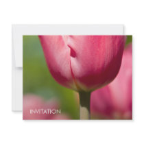 Pink Tulip Macro DSC0852 invitations