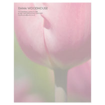 Pink Tulip Macro DSC0852 letterhead