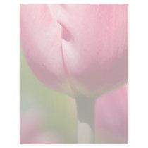 Pink Tulip Macro DSC0852 letterhead