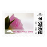 Pink Tulip • March Wedding Stamp