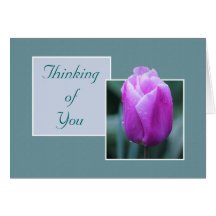 Pink Tulip On A Rainy Day Thinking of You Card