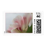 PINK TULIP stamp
