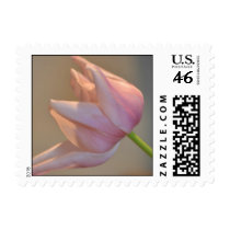Pink Tulip postage