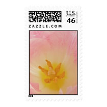Pink Tulip Postage