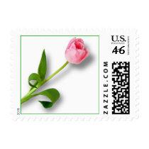 Pink Tulip Postage Stamps by oph3lia Pink Tulip Postage Stamps