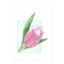 Pink Tulip Poster posters by floatinglemons Pink Tulip Poster posters