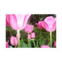 pink tulip print
