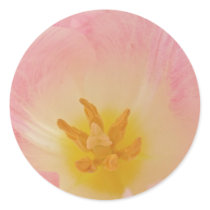 Pink Tulip Stickers
