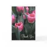 Pink Tulip Thank You Cards cards