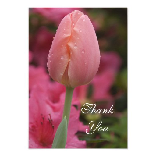 Pink Tulip Thank You Notes - Flat Custom Announcements