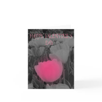 Pink Tulip Valentine cards