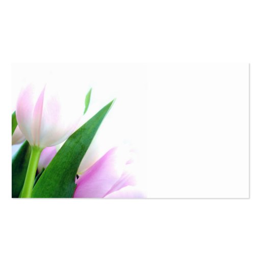 Pink Tulips Business Card (back side)