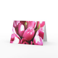 Pink Tulips card