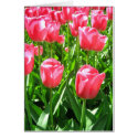 Pink tulips card