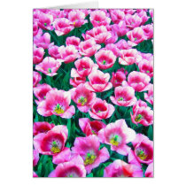 Pink tulips - Card cards