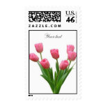 pink tulips - customizable postage