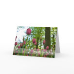 Pink Tulips DSC0867 Greeting Cards
