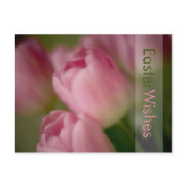 Pink Tulips • Easter Postcard