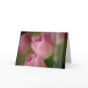 Pink Tulips • Engagement Congratulation Card by SabineStGreetings Pink Tulips • Engagement Congratulation Card