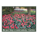 Pink Tulips Epictetus Quote posters
