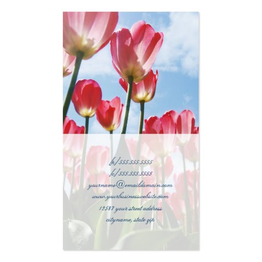 Pink Tulips Field - Business Card (back side)