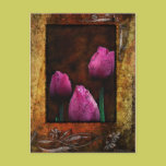 Pink Tulips-Framed postcards