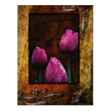Pink Tulips-Framed Postcard