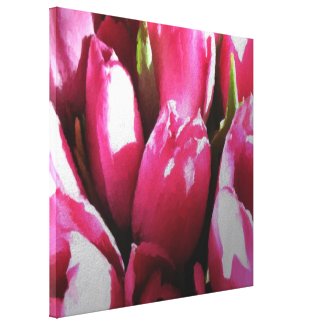Pink Tulips Gallery Wrapped Canvas