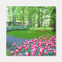Pink tulips garden magnets