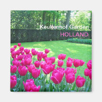Pink tulips garden magnets