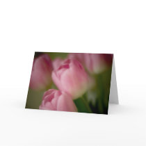 Pink Tulips - Greeting Card by SabineStGreetings Pink Tulips - Greeting Card