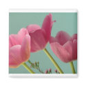 Pink Tulips magnets by Karedesign4 Pink Tulips magnets
