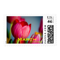Pink Tulips • March Wedding Stamp by SabineStGreetings Pink Tulips • March Wedding Stamp