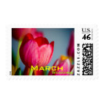 Pink Tulips • March Wedding Stamp