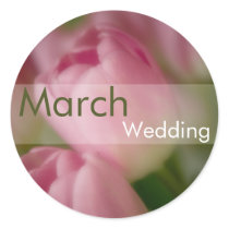 Pink Tulips • March Wedding Sticker by SabineStGreetings Pink Tulips • March Wedding Sticker
