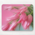 Pink Tulips mousepads